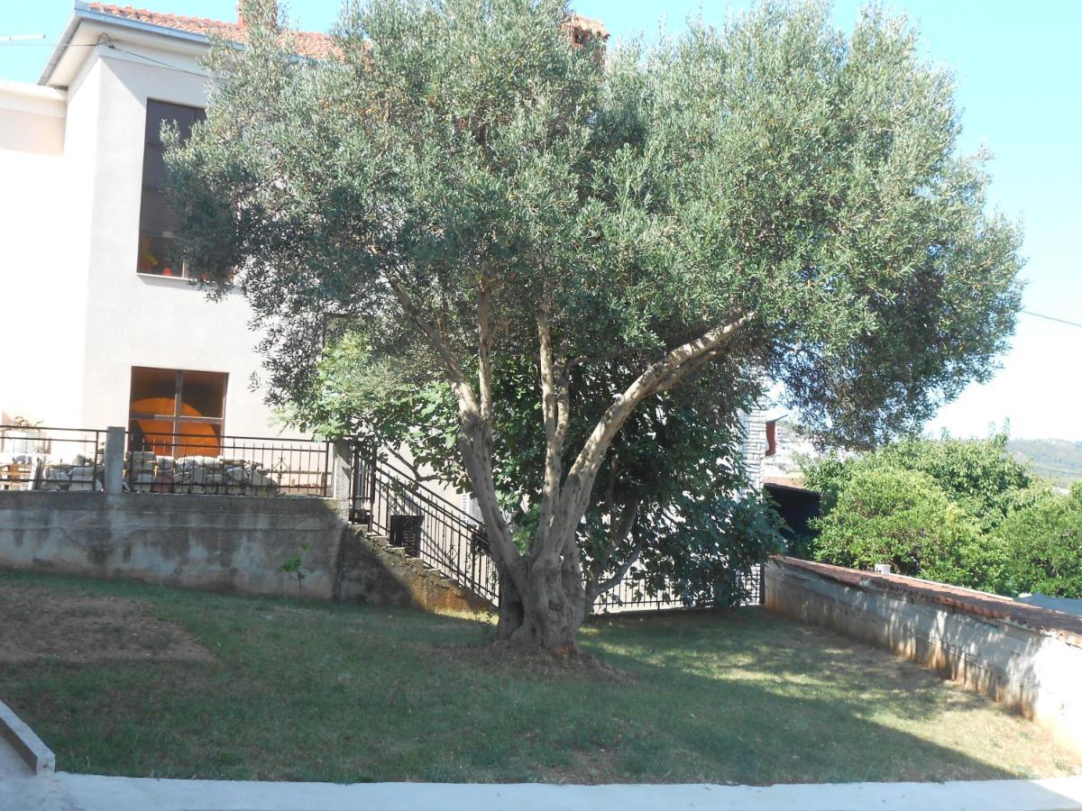 Apartments With A Parking Space Okrug Gornji, Ciovo - 13859 Trogir Exterior photo